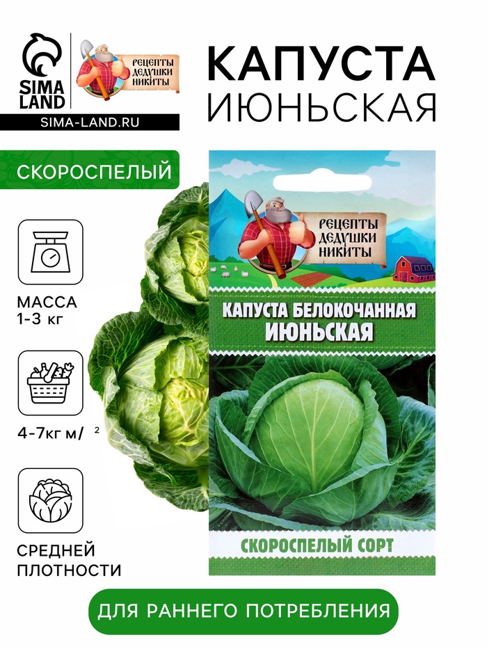 Семена Капуста белокочанная «Июньская», 0.5 г, скороспелая, «Рецепты дедушки Никиты»