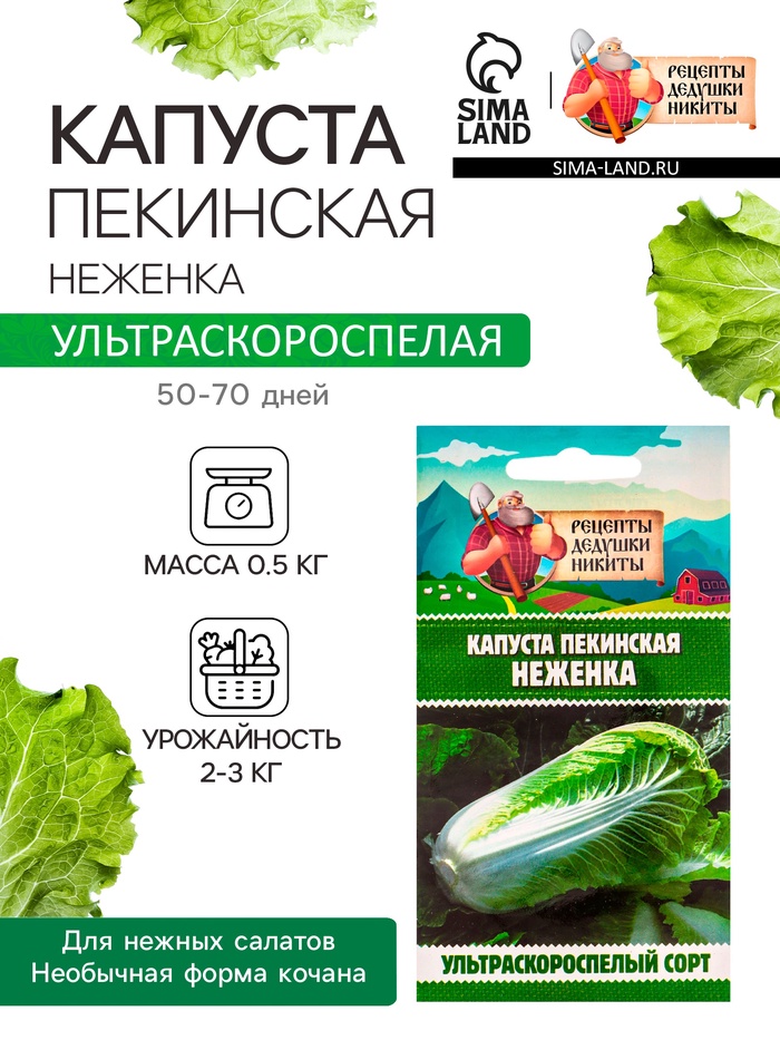 Семена Капуста пекинская «Неженка», 0.1 г, ультраскороспелая, «Рецепты дедушки Никиты»