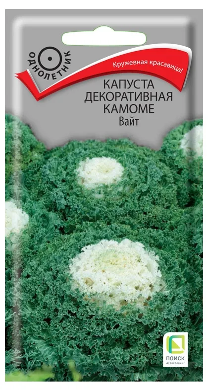 Семена Капуста Поиск Декоративная камоме вайт, 10 шт