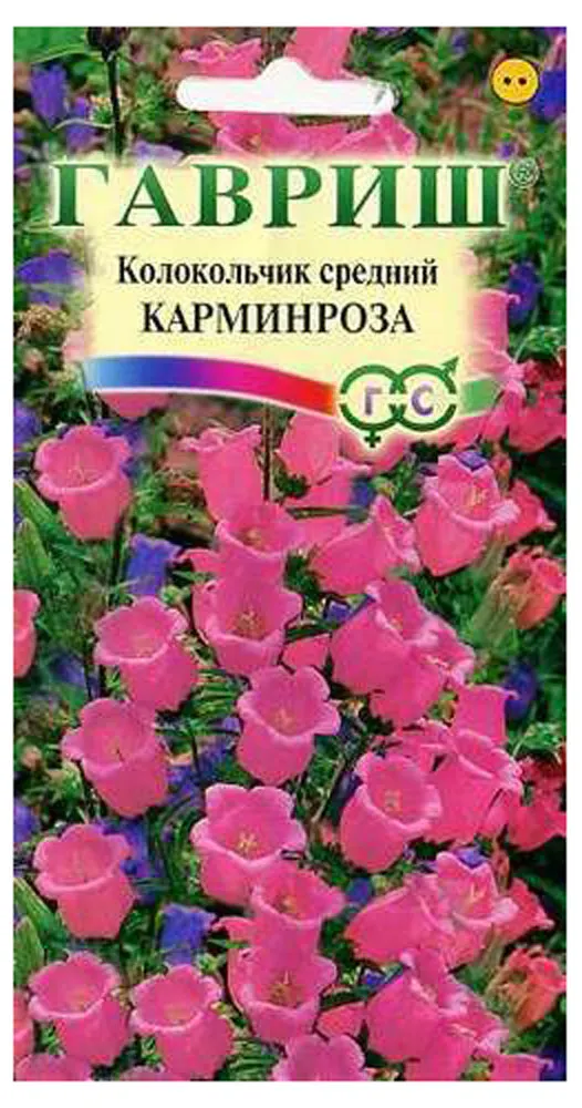 Семена Колокольчик Гавриш Карминроза средний, 0,1 г
