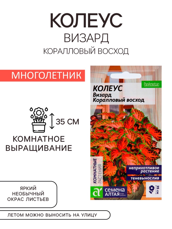 Семена комнатных цветов Колеус «Коралловый Восход», 5 шт., «Семена Алтая»