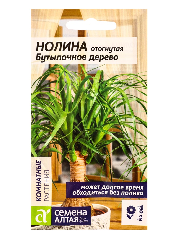 Семена комнатных цветов нолина «Бутылочное дерево», 3 шт.