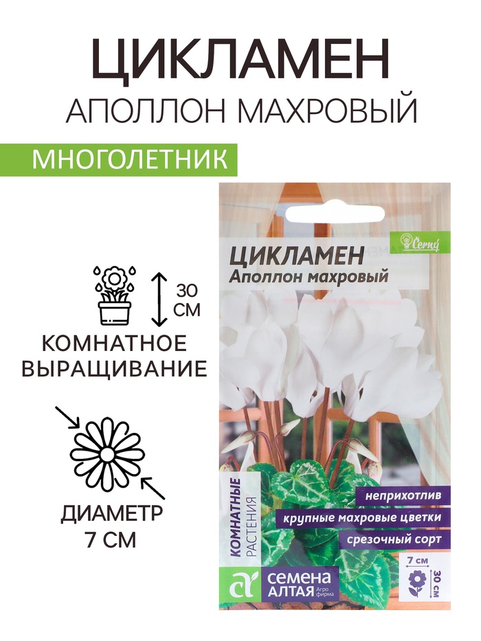 Семена комнатных цветов Цикламен «Аполлон», 3 шт., «Семена Алтая»
