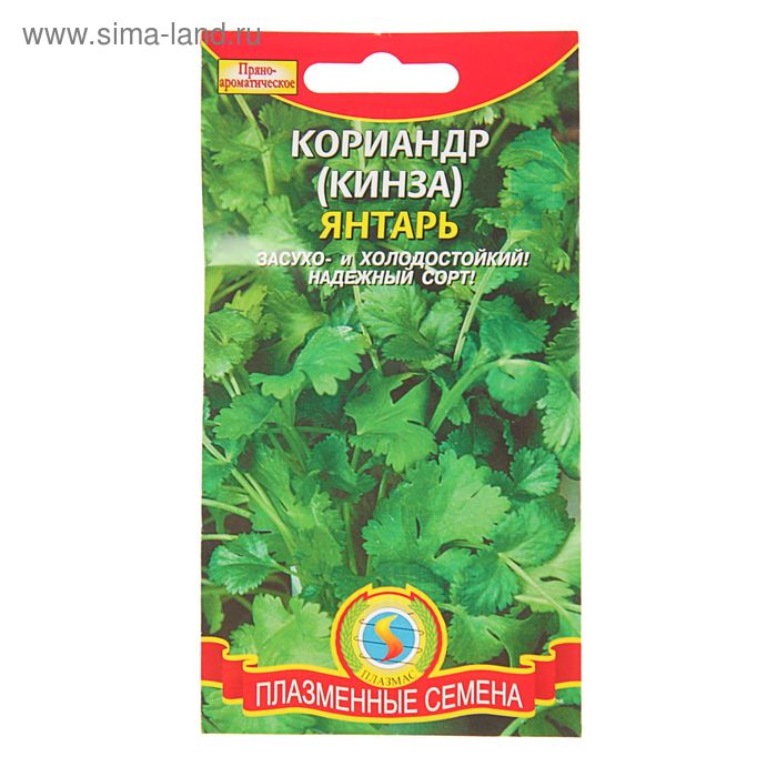 Семена Кориандр (кинза) «Янтарь», 2 г, «Плазмас»