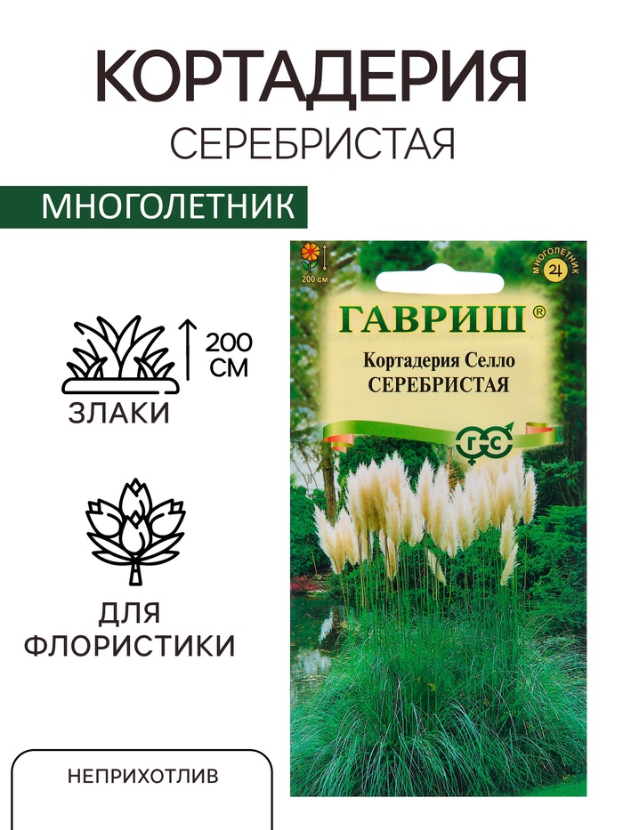Семена Кортадерия Селло Серебристая «Пампасная трава», 0.01 г, многолетник, «Гавриш»