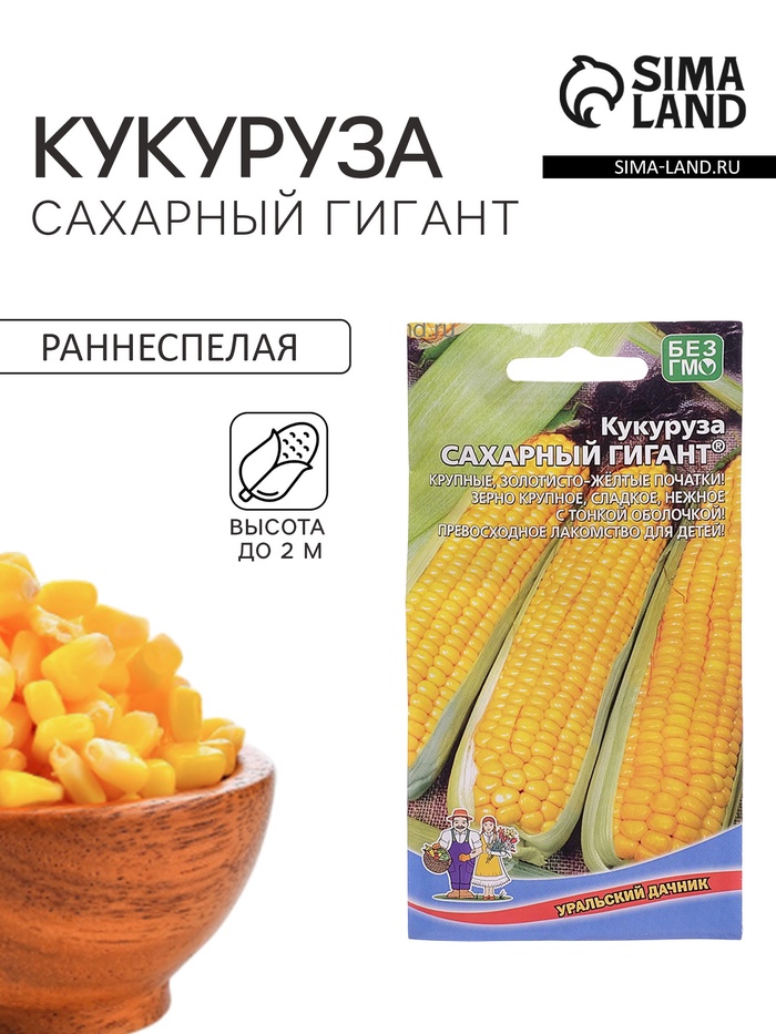 Семена Кукуруза «Сахарный Гигант», 5 г, «Уральский Дачник»