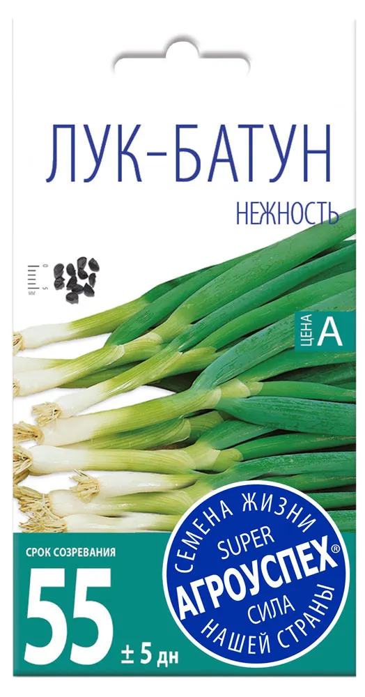 Семена Лук-батун Агроуспех Нежность, 1 г
