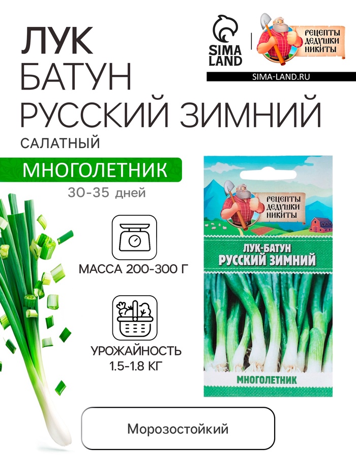 Семена Лук-батун «Русский зимний», 0.5 г, многолетник, «Рецепты дедушки Никиты»