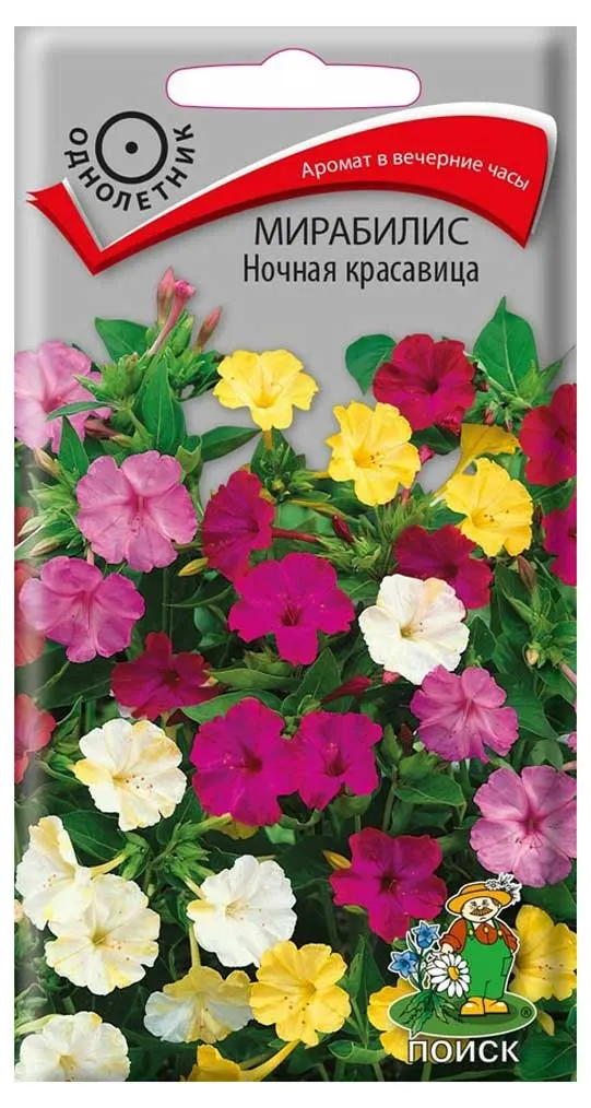 Семена Мирабилис Поиск Ночная красавица, 2,5 г