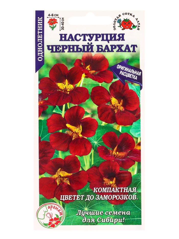 Семена Настурция «Черный бархат», 0.5 г, «Золотая Сотка Алтая»