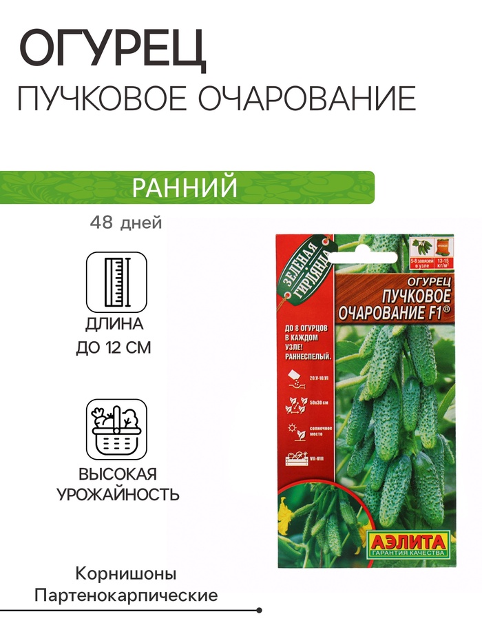 Семена Огурец «Пучковое очарование», F1, 10 шт., «АЭЛИТА»