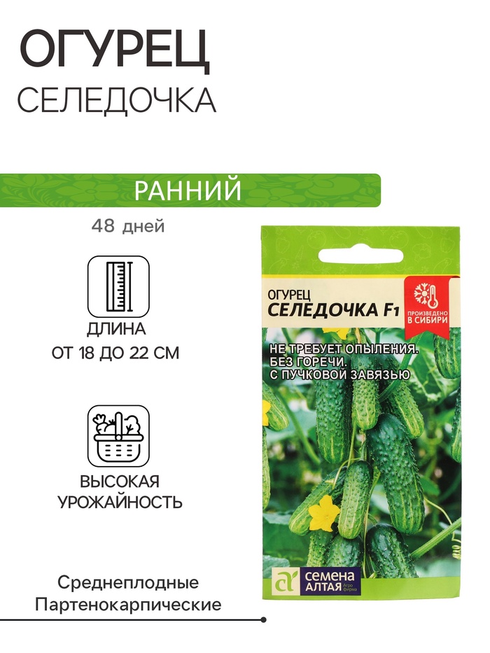Семена Огурец «Селедочка», F1, 5 шт., «Семена Алтая»