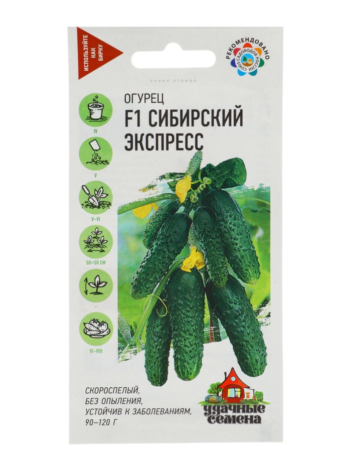 Семена Огурец «Сибирский экспресс», F1, 10 шт., «Гавриш»