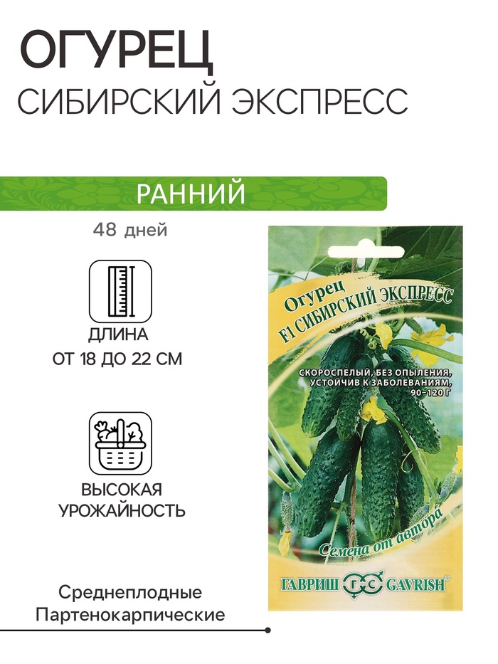 Семена Огурец «Сибирский экспресс», F1, 10 шт., «Гавриш»