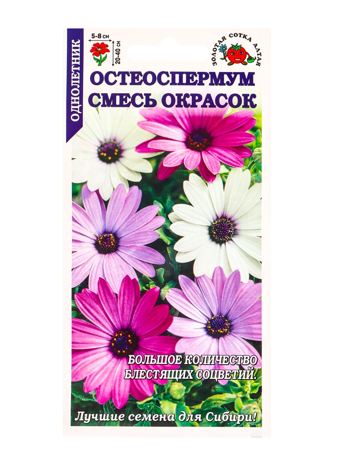 Семена Остеоспермум, смесь окрасок, 0.1 г, «Золотая Сотка Алтая»