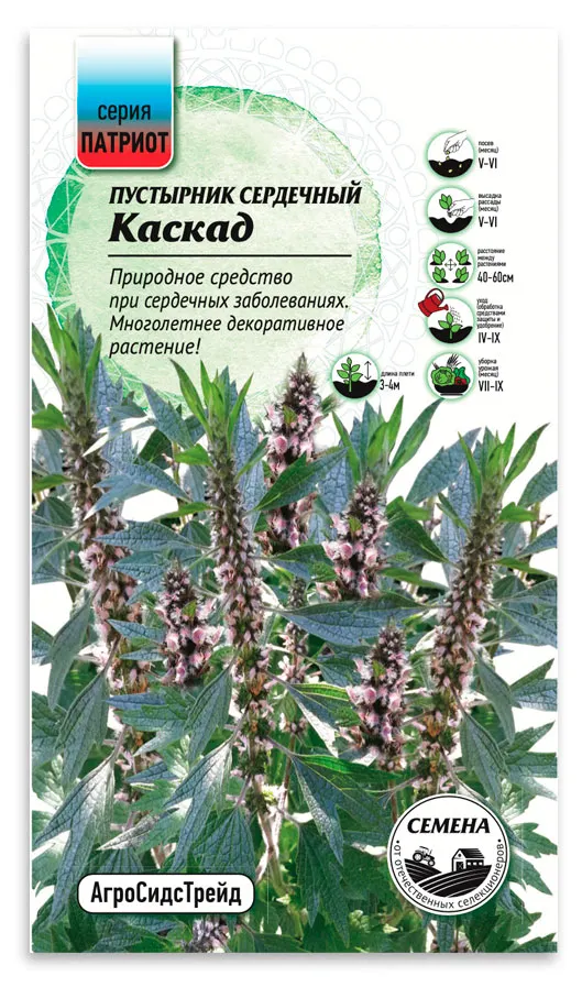 Семена Патриот Пустырник сердечный Каскад, 0,5 г