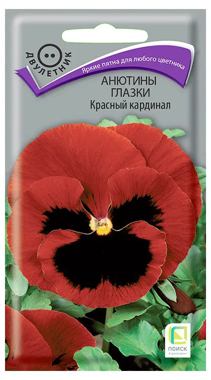 Семена Поиск Анютины глазки Красный кардинал
