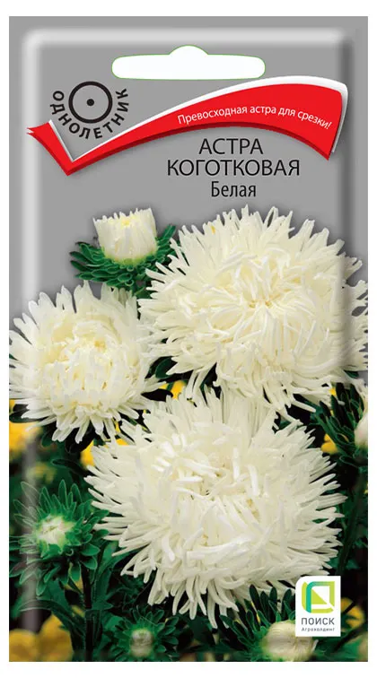 Семена Поиск Астра коготковая Белая, 0,3 г