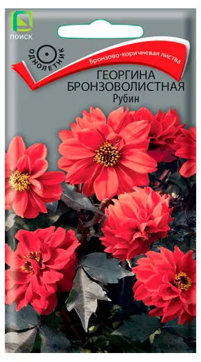 Семена Поиск Георгина Бронзоволистная Рубин, 10 шт
