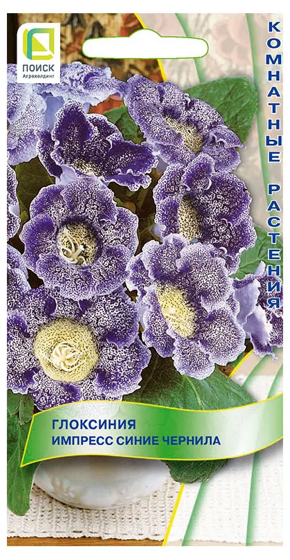 Семена Поиск Глоксиния Импресс Синие Чернила, 5 шт