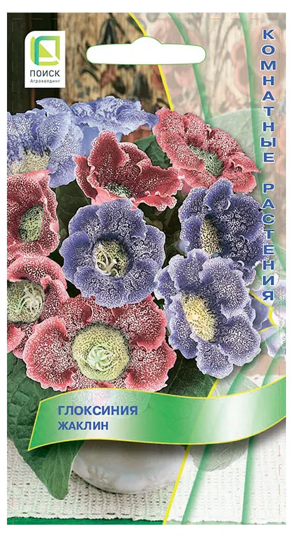 Семена Поиск Глоксиния Жаклин, 5 шт