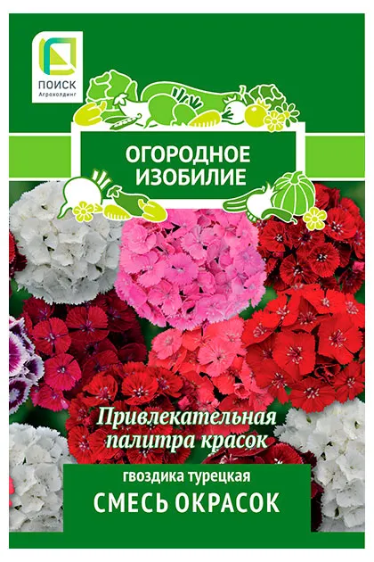 Семена Поиск Гвоздика турецкая Смесь окрасок