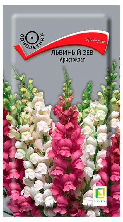 Семена Поиск Львиный зев Аристократ, 0,1 г