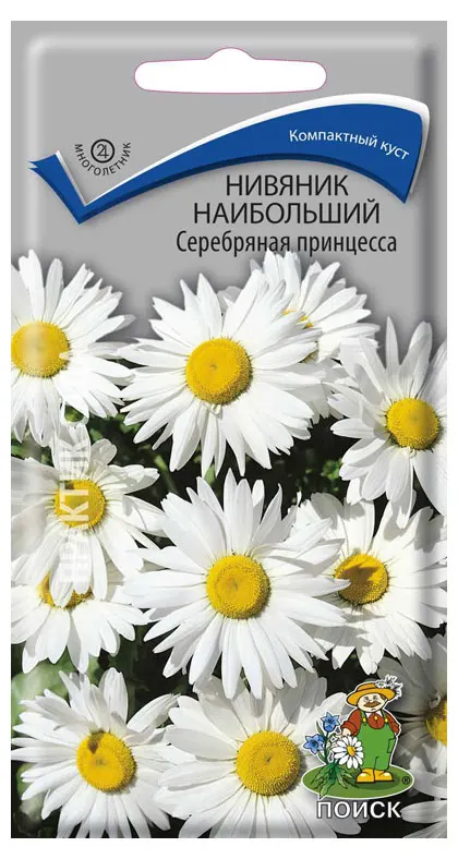 Семена Поиск Нивяник наибольший Серебряная принцесса