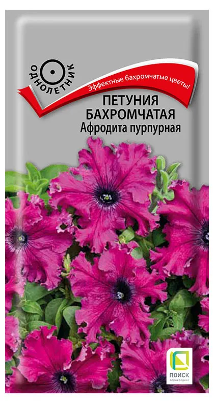 Семена Поиск Петуния бахромчатая Афродита пурпурная, 10 шт