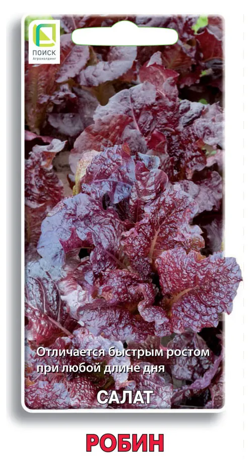 Семена Поиск Салат Робин, 1 г