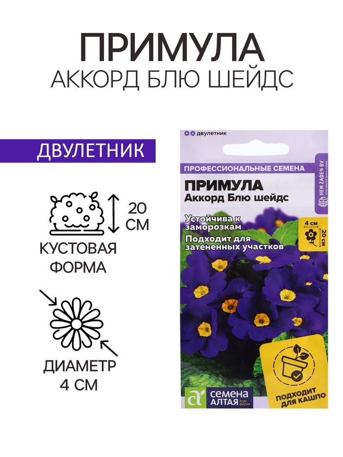 Семена Примула "Аккорд Блю шейдс", ц/п, 5 шт