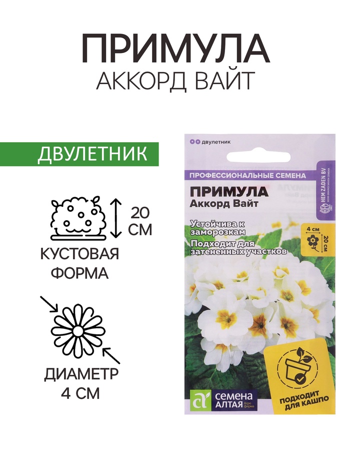 Семена Примула "Аккорд Вайт", ц/п, 5 шт