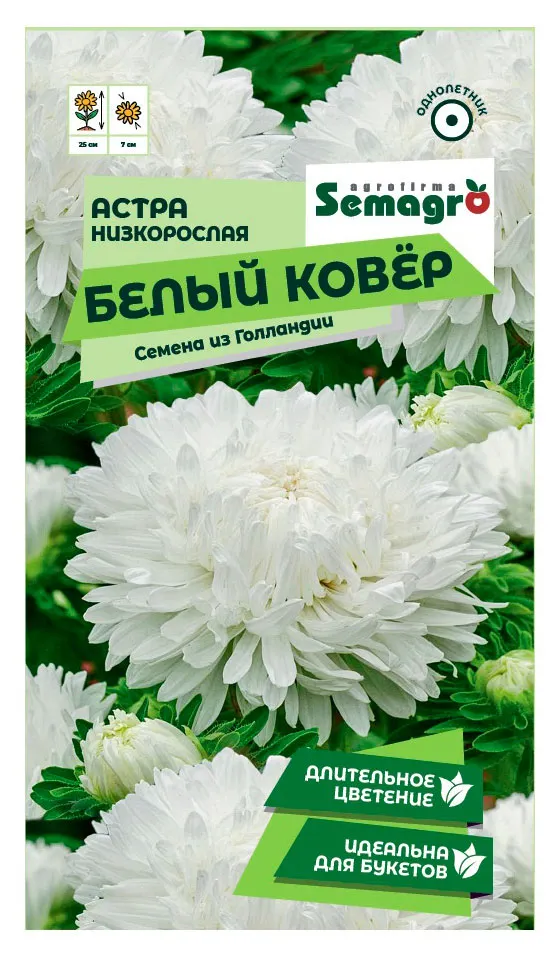 Семена СамАгро Астра низкорослая Белый ковер, 0,2 г