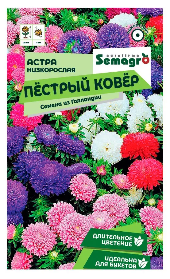 Семена СамАгро Астра низкорослая Пестрый ковер смесь окрасок, 0,2 г