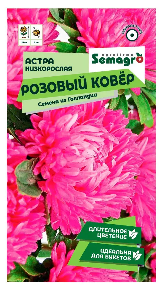 Семена СамАгро Астра низкорослая Розовый ковер, 0,2 г