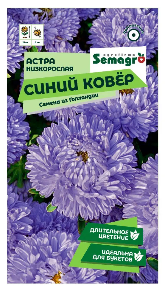 Семена СамАгро Астра низкорослая Синий ковер, 0,2 г