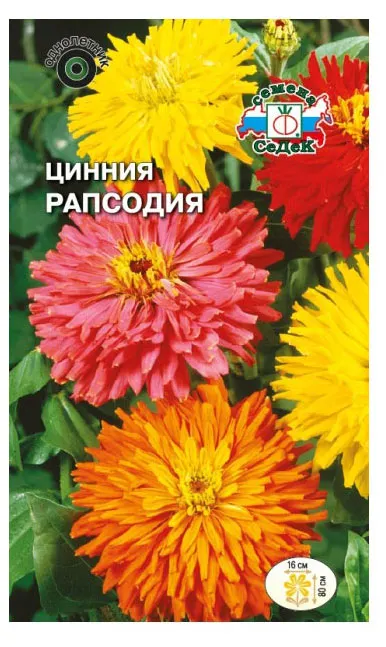 Семена СеДеК Цинния Рапсодия кактусовидная