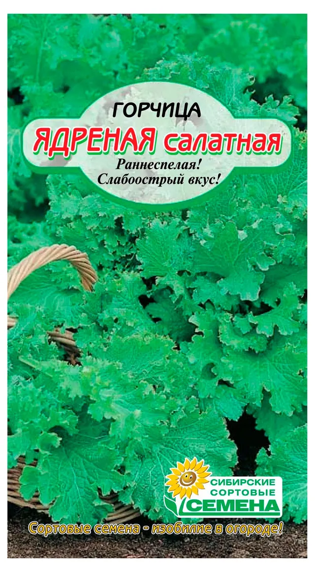 Семена Сибирские сортовые семена Горчица Ядреная салатная, 0,5 г