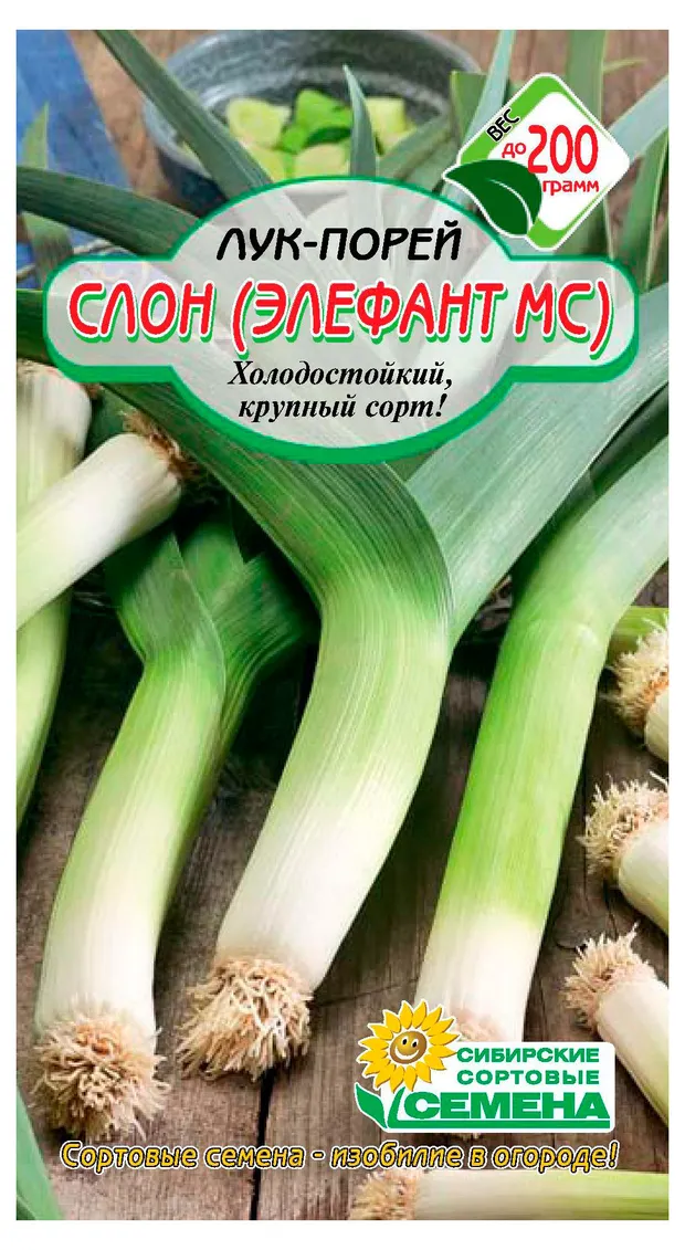 Семена Сибирские сортовые семена Лук-порей Слон (Элефант МС), 0,5 г