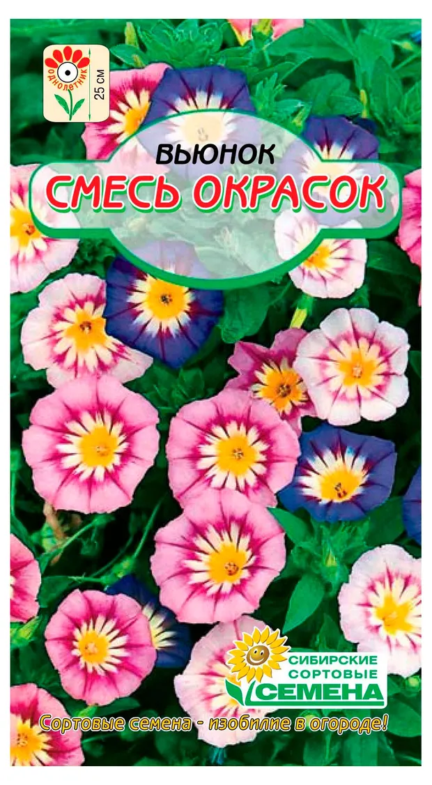 Семена Сибирские сортовые семена Вьюнок смесь красок, 0,5 г