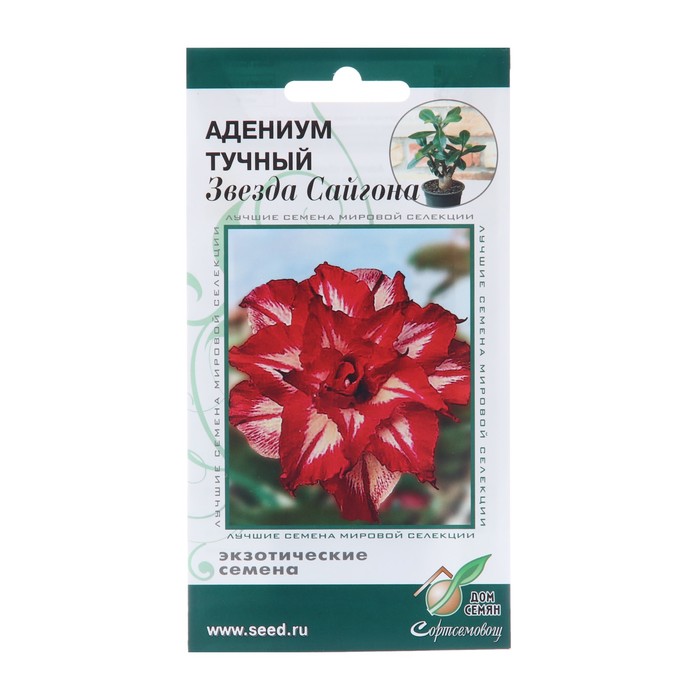 Семена цветов Адениум тучный «Звезда Сайгона», 3 шт.