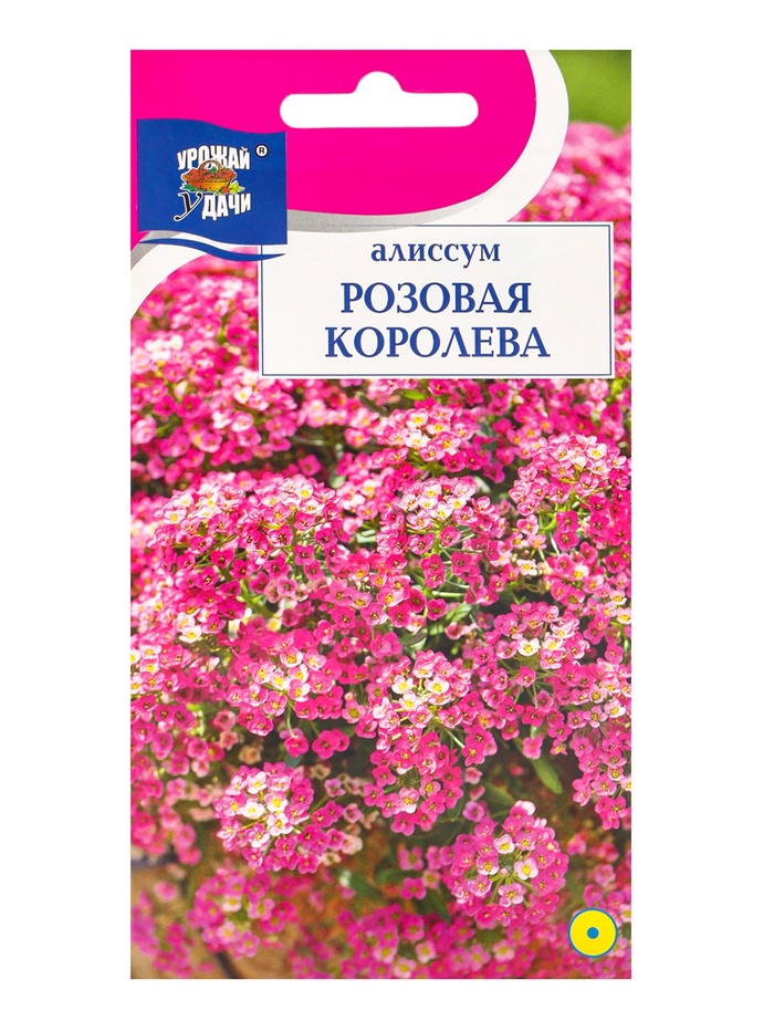 Семена цветов Алиссум «Розовая королева», 0.1 г