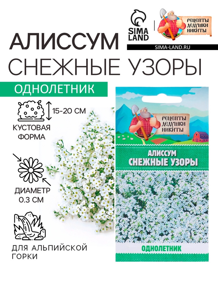 Семена цветов Алиссум «Снежные узоры», 0.1 г, «Рецепты дедушки Никиты»