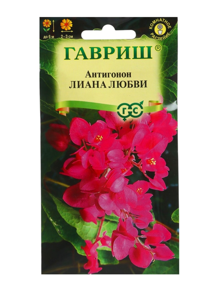 Семена цветов Антигонон «Лиана любви», 5 шт., многолетник, «Гавриш»