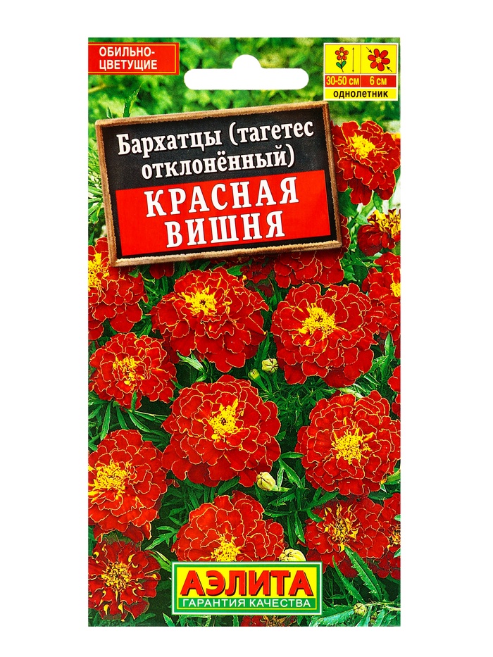 Семена цветов Бархатцы «Красная вишня» отклоненные, 0.3 г