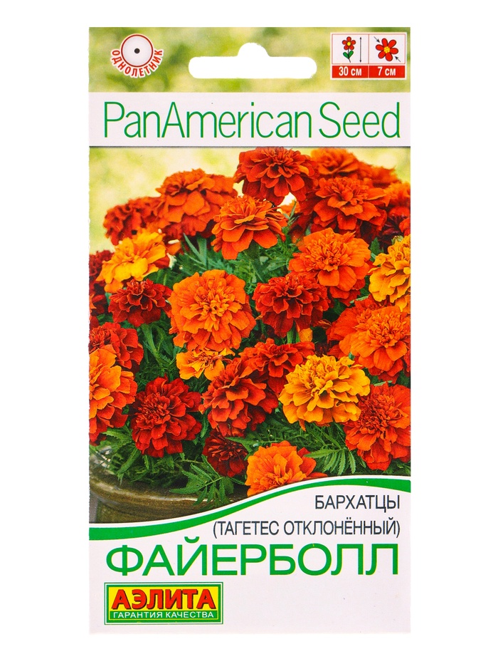 Семена цветов Бархатцы отклоненные «Файерболл» 5 шт.