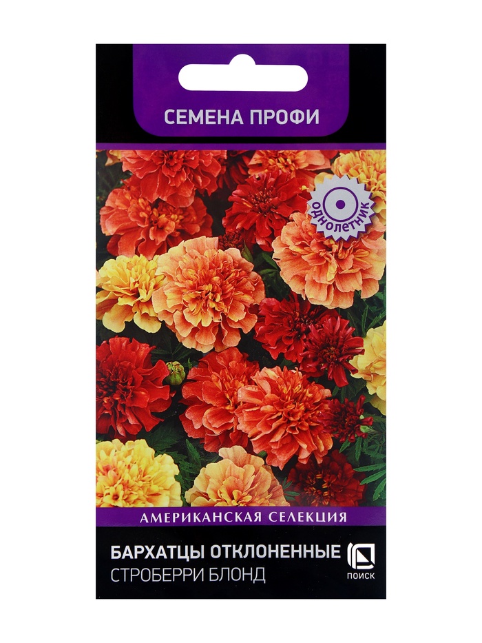 Семена цветов Бархатцы отклоненные «Строберри Блонд» 10 шт.
