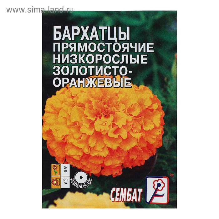 Семена цветов Бархатцы прямостоячий низкорослый золотисто-оранжевый, О, 0.1 г