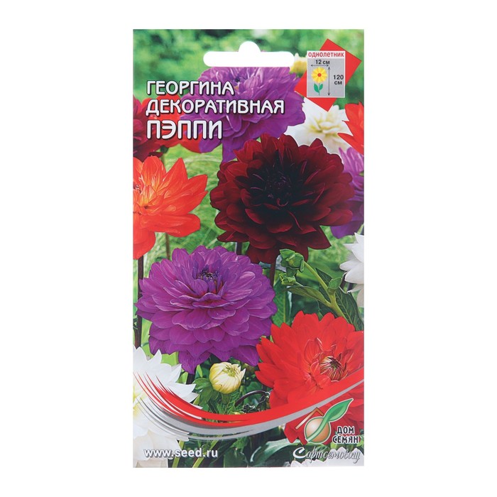 Семена цветов Георгина декоративная «Пэппи», 15 шт.