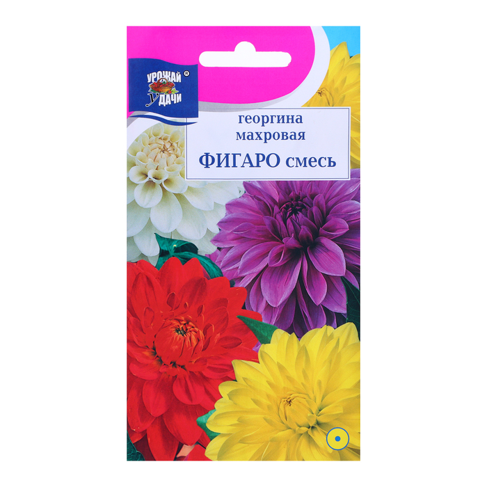 Семена цветов Георгина «Фигаро» смесь, махровая, 0.1 г